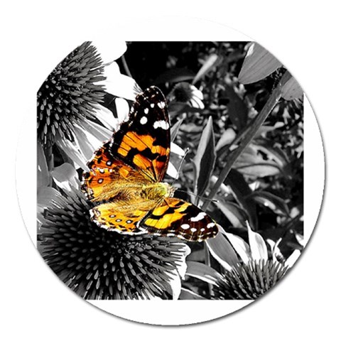 362954323_94fafe3a92 Magnet 5  (Round) from ArtsNow.com Front