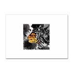362954323_94fafe3a92 Sticker A4 (100 pack)