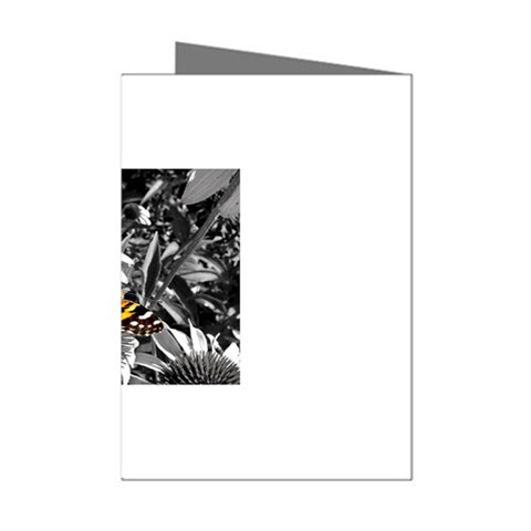 362954323_94fafe3a92 Mini Greeting Cards (Pkg of 8) from ArtsNow.com Left