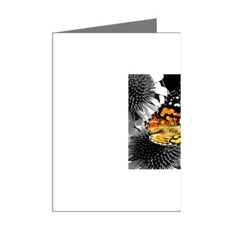 362954323_94fafe3a92 Mini Greeting Cards (Pkg of 8) from ArtsNow.com Right