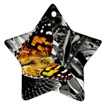 362954323_94fafe3a92 Star Ornament (Two Sides)