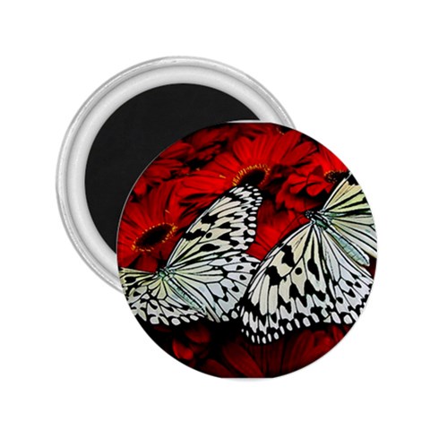 butterfly 2.25  Magnet from ArtsNow.com Front