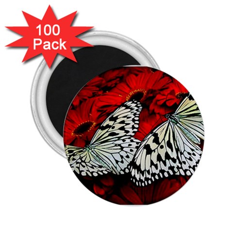 butterfly 2.25  Magnet (100 pack)  from ArtsNow.com Front