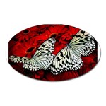 butterfly Magnet (Oval)