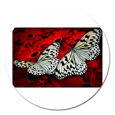butterfly Magnet 5  (Round) from ArtsNow.com Front