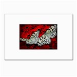 butterfly Postcard 4 x 6  (Pkg of 10)