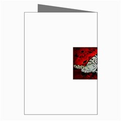 butterfly Greeting Cards (Pkg of 8) from ArtsNow.com Right
