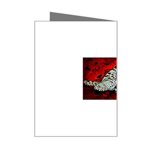 butterfly Mini Greeting Card from ArtsNow.com Right