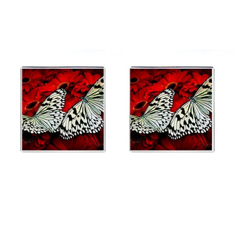 butterfly Cufflinks (Square) from ArtsNow.com Front(Pair)