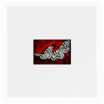 butterfly Glasses Cloth (Medium)