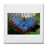 butterfly Tile Coaster
