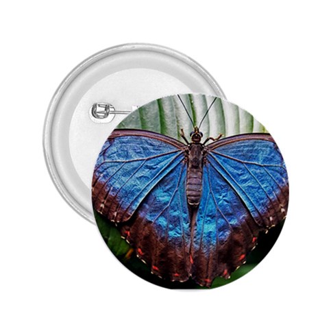 butterfly 2.25  Button from ArtsNow.com Front