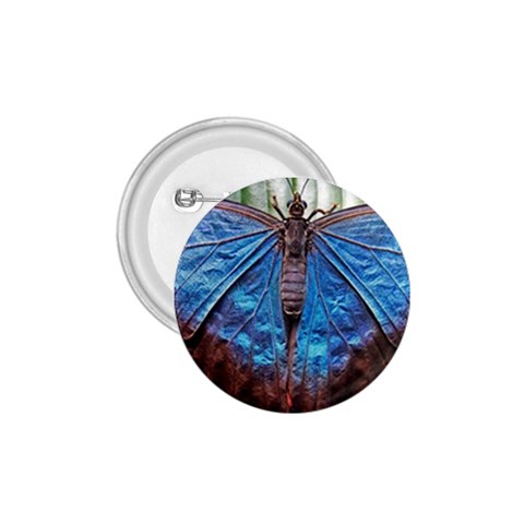 butterfly 1.75  Button from ArtsNow.com Front