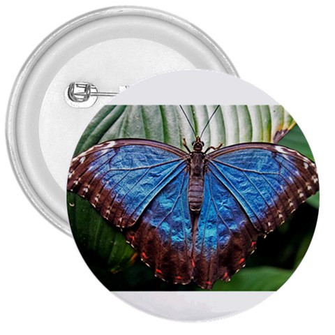butterfly 3  Button from ArtsNow.com Front
