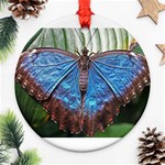 butterfly Ornament (Round)