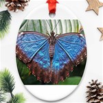 butterfly Ornament (Oval)