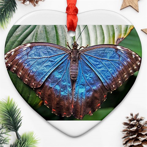 butterfly Ornament (Heart) from ArtsNow.com Front