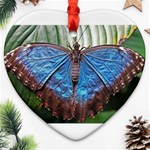 butterfly Ornament (Heart)