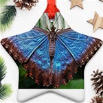 butterfly Ornament (Star)
