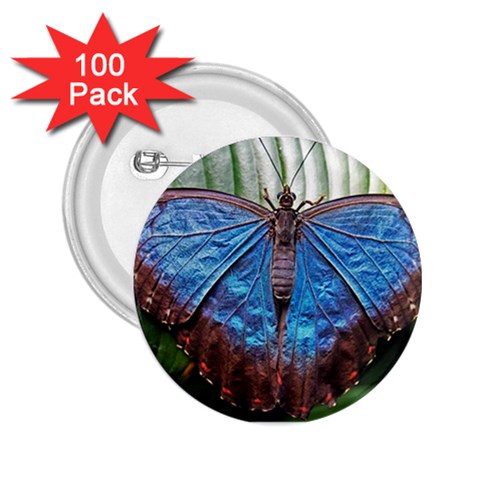 butterfly 2.25  Button (100 pack) from ArtsNow.com Front