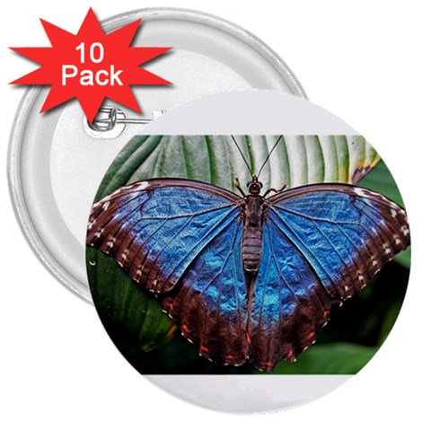 butterfly 3  Button (10 pack) from ArtsNow.com Front