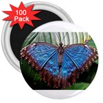butterfly 3  Magnet (100 pack)