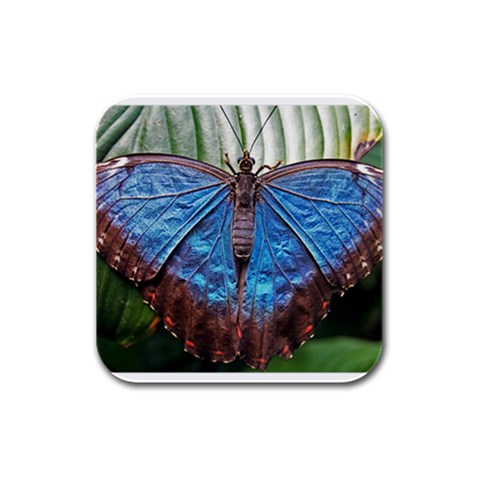 butterfly Rubber Square Coaster (4 pack) from ArtsNow.com Front