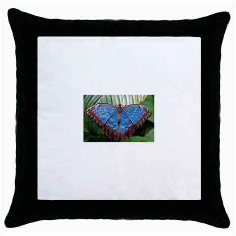 butterfly Throw Pillow Case (Black) from ArtsNow.com Front