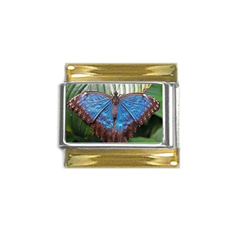 butterfly Gold Trim Italian Charm (9mm) from ArtsNow.com Front