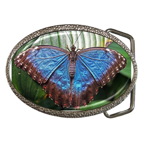 butterfly Belt Buckle from ArtsNow.com Front