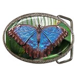 butterfly Belt Buckle