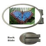 butterfly Money Clip (Oval)