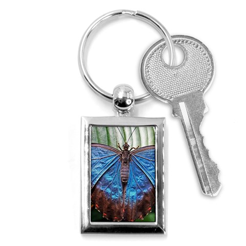 butterfly Key Chain (Rectangle) from ArtsNow.com Front