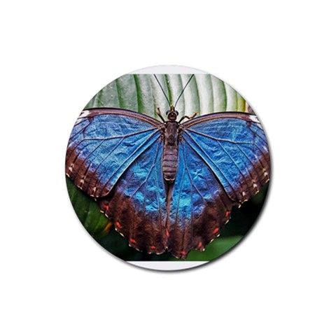 butterfly Rubber Coaster (Round) from ArtsNow.com Front