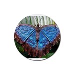 butterfly Rubber Coaster (Round)