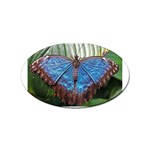 butterfly Sticker (Oval)