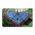butterfly Magnet (Rectangular)