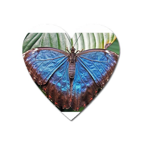 butterfly Magnet (Heart) from ArtsNow.com Front