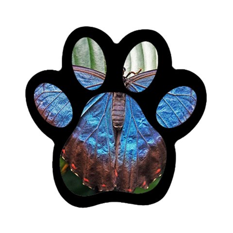 butterfly Magnet (Paw Print) from ArtsNow.com Front