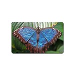butterfly Magnet (Name Card)