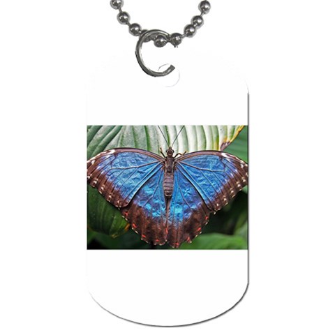 butterfly Dog Tag (One Side) from ArtsNow.com Front