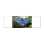 butterfly Sticker Bumper (10 pack)