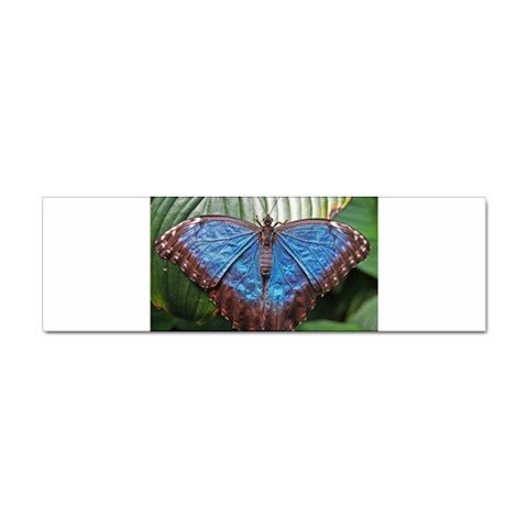 butterfly Sticker Bumper (100 pack) from ArtsNow.com Front