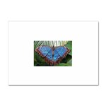 butterfly Sticker A4 (10 pack)