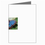 butterfly Greeting Card