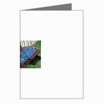 butterfly Greeting Cards (Pkg of 8)