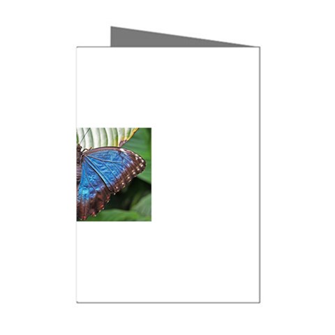 butterfly Mini Greeting Cards (Pkg of 8) from ArtsNow.com Left