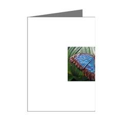 butterfly Mini Greeting Cards (Pkg of 8) from ArtsNow.com Right