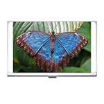 butterfly Business Card Holder