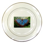 butterfly Porcelain Plate